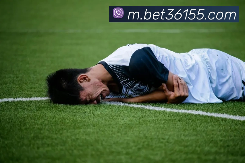 bet365com发展历程